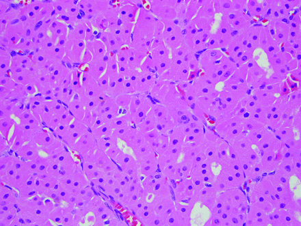 Fig 4.