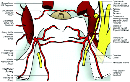 Fig 1.