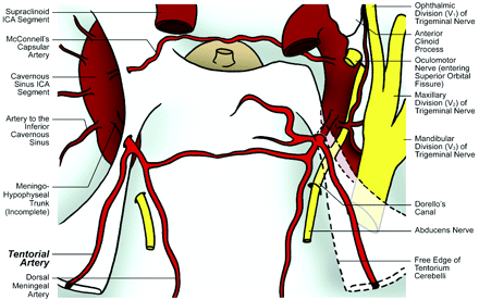 Fig 2.