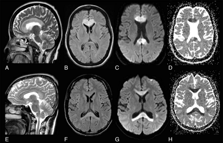 Fig 1.