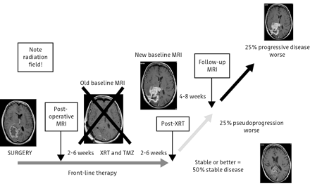 Fig 6.