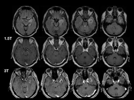 Fig 7.
