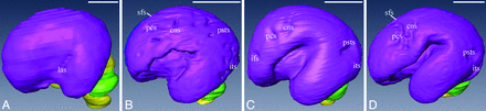 Fig 3.
