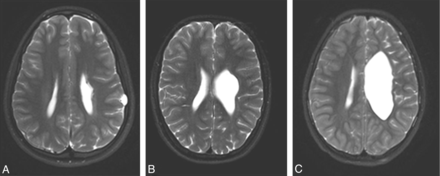 Fig 1.