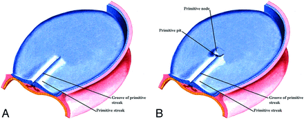 Fig 3.