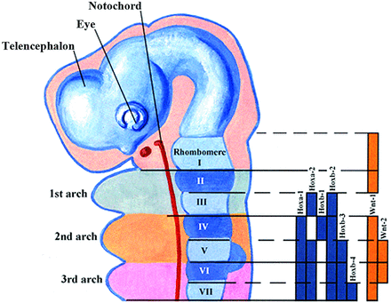 Fig 6.