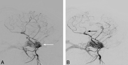 Fig 1.