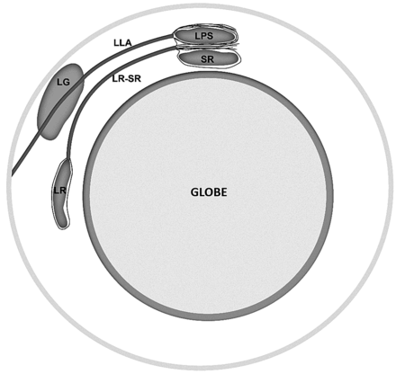 Fig 1.
