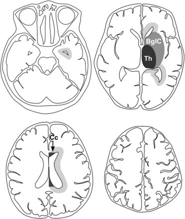 Fig 1.