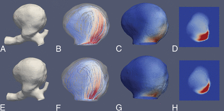 Fig 4.