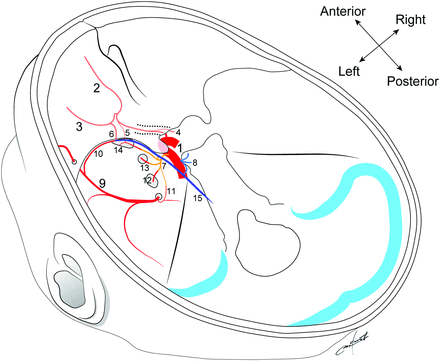 FIG 1.