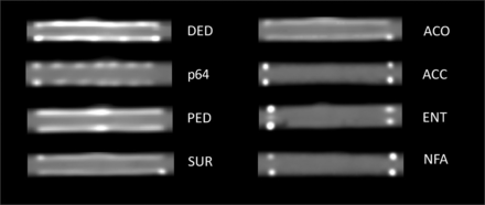 FIG 1.