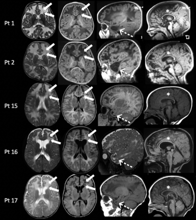 FIG 3.