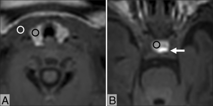 FIG 1.