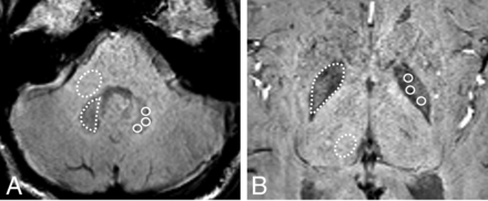 FIG 1.