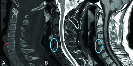 FIG 7.