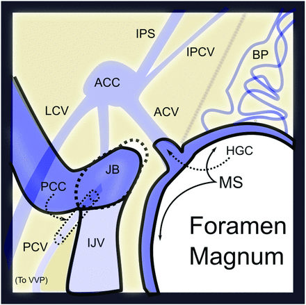 FIG 1.