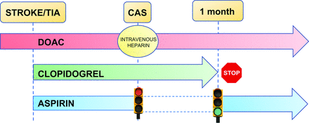 FIG 2.
