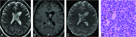 FIG 9.