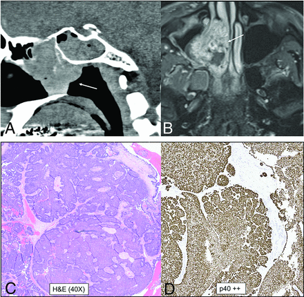 FIG 10.