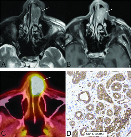 FIG 7.