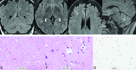 FIG 9.