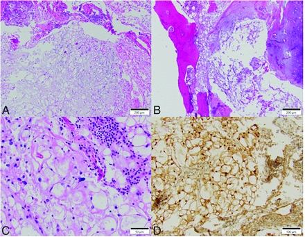 Fig 3.