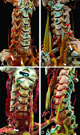 FIG 6.
