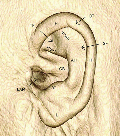 FIG 1.