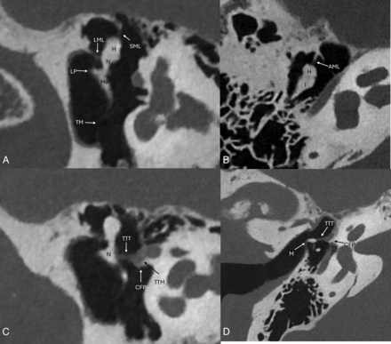 FIG 7.