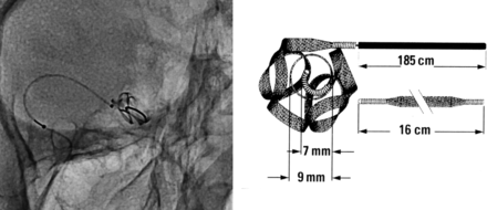 FIG 1.