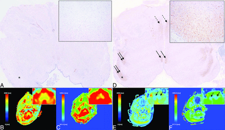 FIG 4.